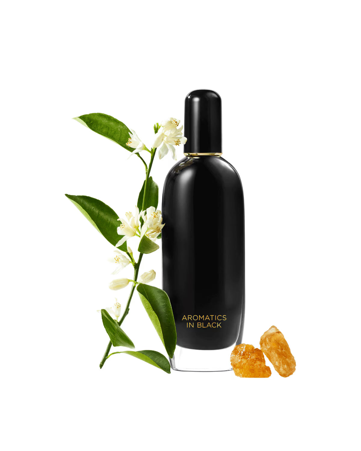 CLINIQUE Aromatics in Black Fragrance