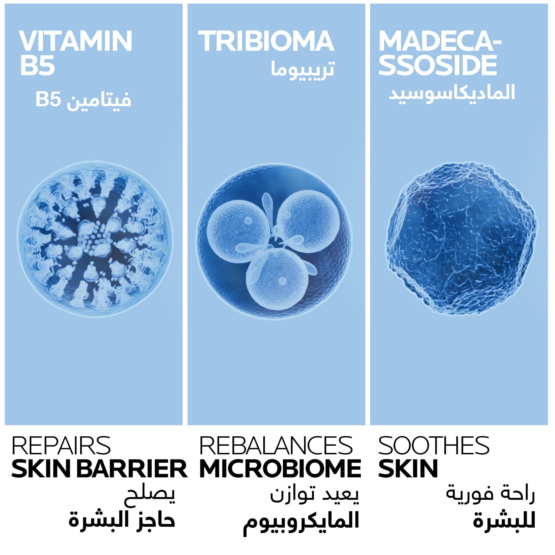 Key ingredients of Cicaplast Baume B5+ SPF50: Vitamin B5, Tribioma, Madecassoside